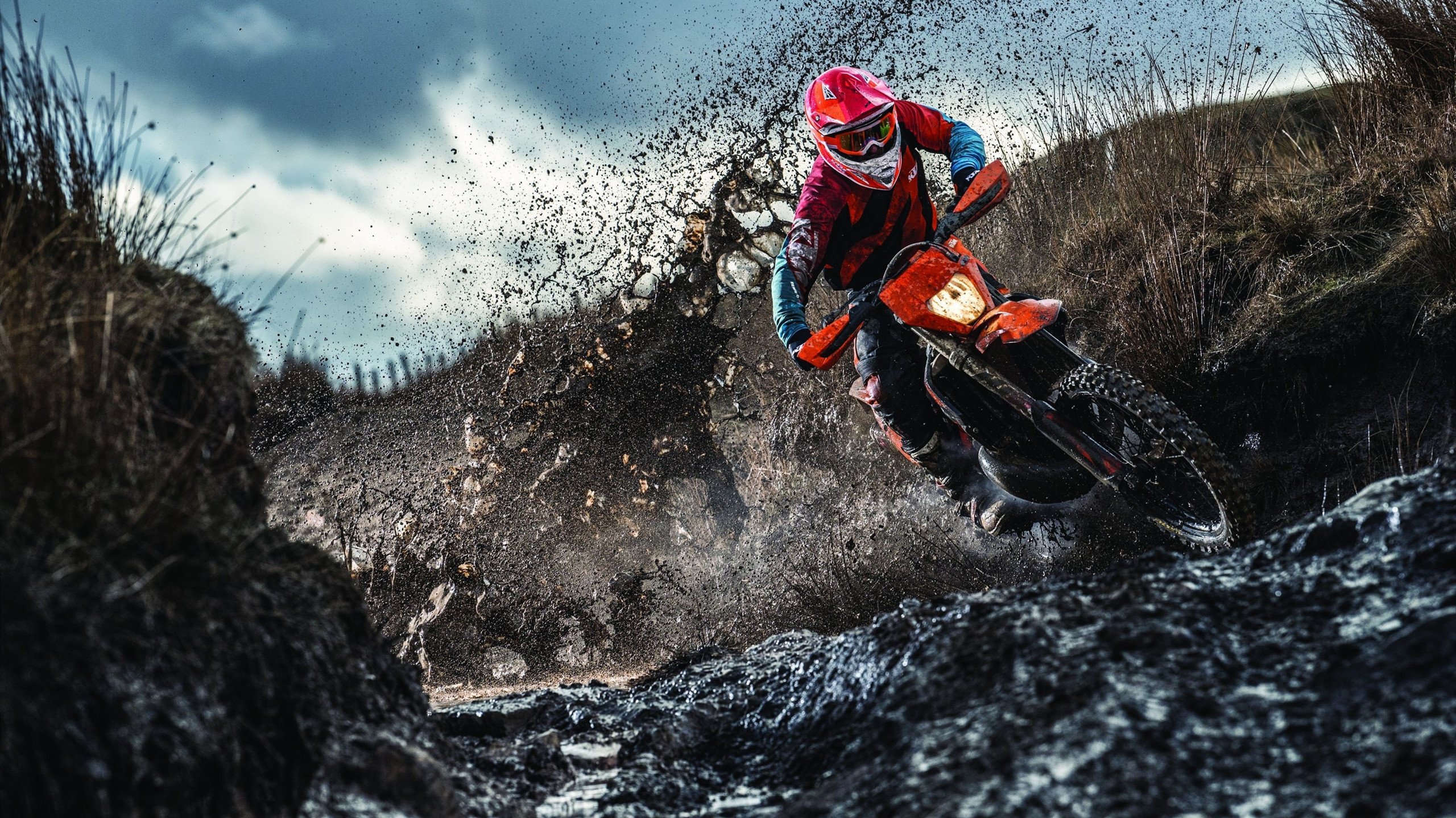 开云体育下载-字母哥统治级表现引爆全场，雄鹿球迷，这三年，我们等到了！